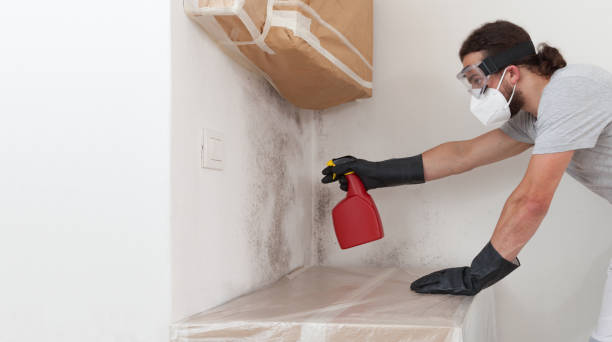 Professional Bathroom Mold Removal technician working in Bushwood, MD
